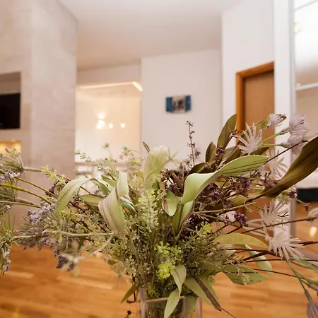 Deluxe Renata Appartement